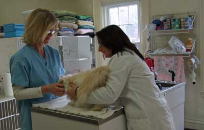 Cta CLinic Testimonials